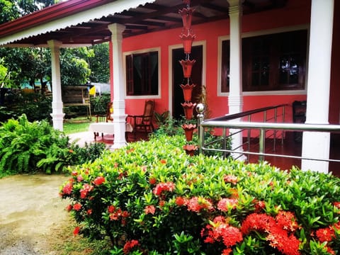 Patio, Facade/entrance, Garden