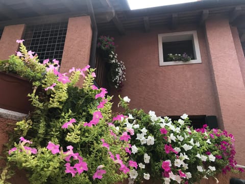 Casa del Balcone Fiorito Apartment in Friuli-Venezia Giulia