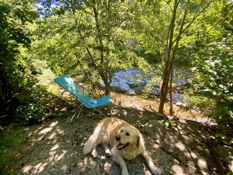 Maison les pieds dans l'eau House in Auvergne-Rhône-Alpes