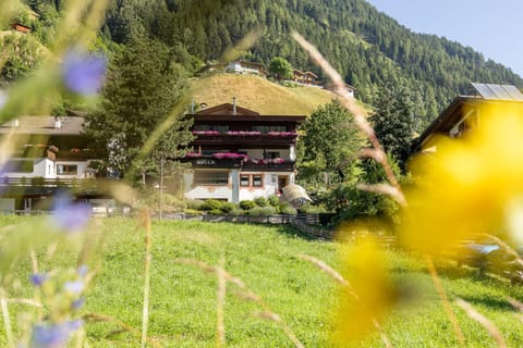 Pension Gulla - Ferienhaus Appartements B&B Bed and Breakfast in Neustift im Stubaital