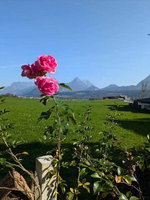 Ferienwohnung Schönwörth Apartment in Salzburgerland