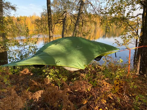 Day, Natural landscape, River view