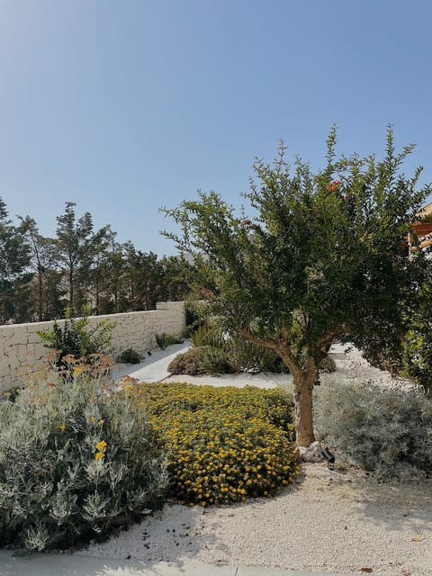 CIRERA SICILY Country House in Sicily