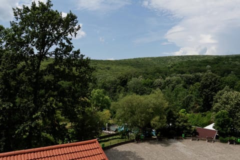 Hotel McPietroasa Resort in Prahova, Romania