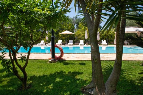 Summer, Garden, Garden view, Pool view, Swimming pool, sunbed