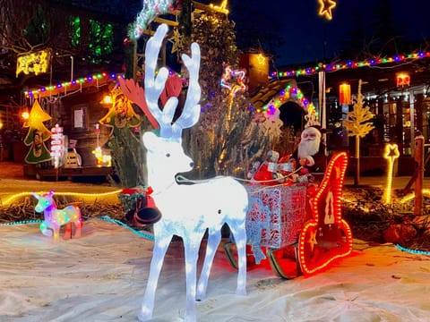 Night, Winter, Garden