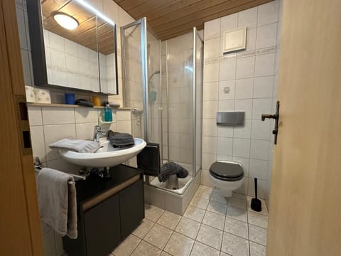 Shower, Toilet, towels