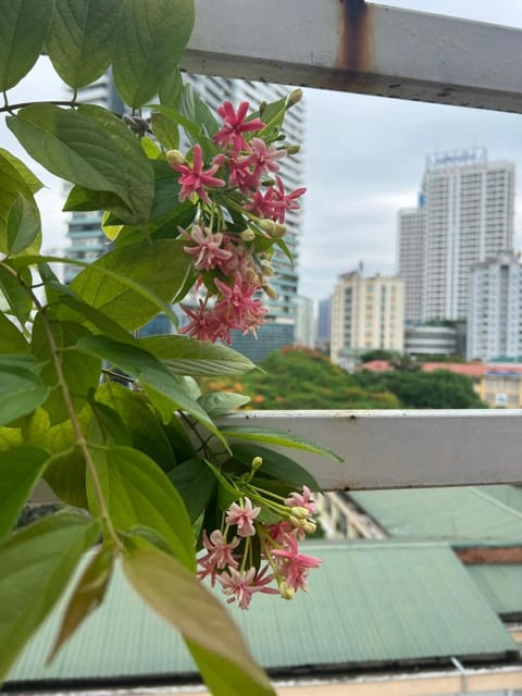 View (from property/room), Balcony/Terrace, City view