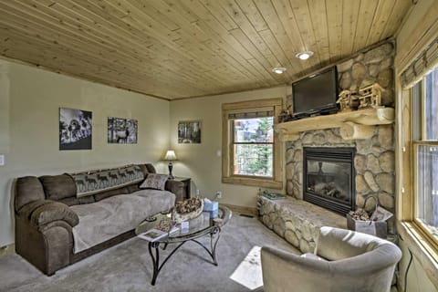 24-0160 Pet-Friendly Cabin 1 Mi to Dtwn Fairplay House in Park County