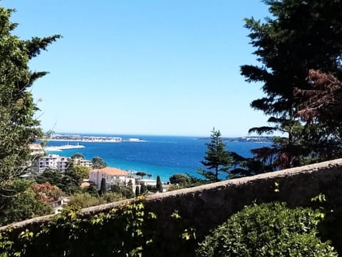 Natural landscape, Beach, Lake view