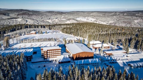 Day, Bird's eye view, Winter, On site