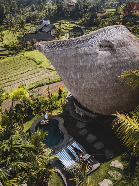 Property building, Bird's eye view