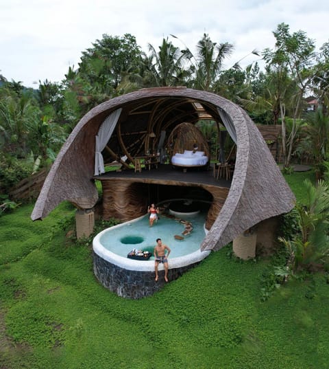 Day, Natural landscape, Garden, Garden view, Pool view, Swimming pool
