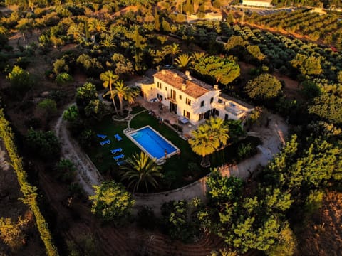 Bird's eye view, Summer, Garden, Pool view, Swimming pool