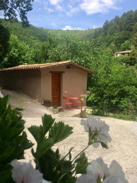 la casetta delle more (monolocale) Apartment in Umbria