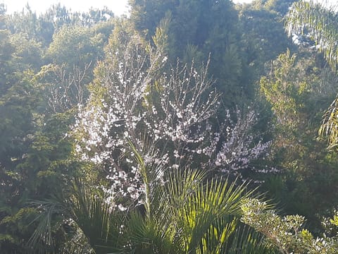 CHÁCARA QUEDINHA D'ÁGUA Country House in State of Santa Catarina