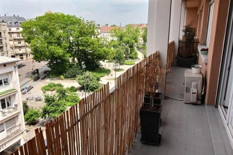 3 pièces en plein centre de Strasbourg Apartment in Strasbourg