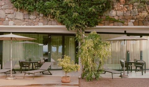 Garden, Balcony/Terrace, Balcony/Terrace