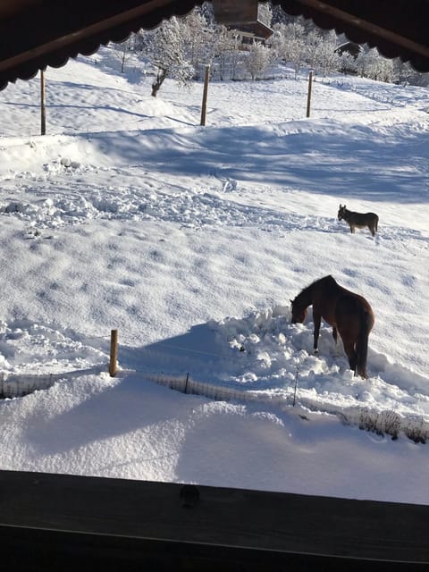 Chalet LA TOUPINE centre St Gervais Chalet in Saint-Gervais-Bains