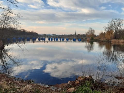 Natural landscape, Other