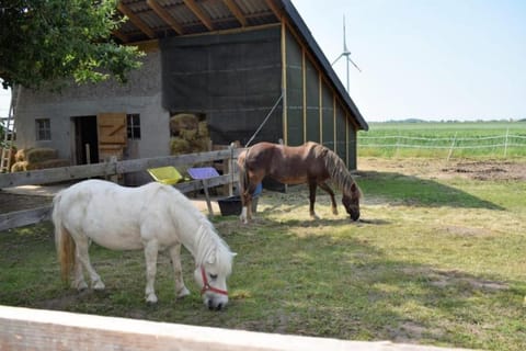 Vadders Hof Wohnung in Dagebüll