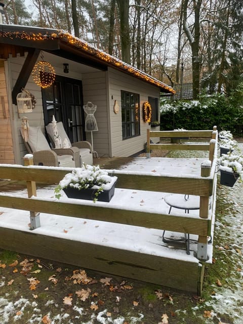 Property building, Day, Winter