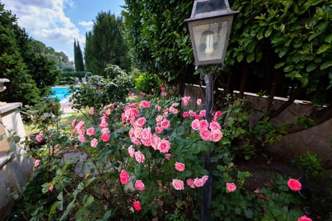 Garden, Garden view