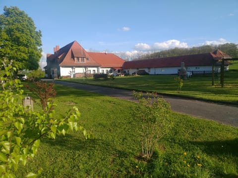 Property building, Spring, Day, Garden