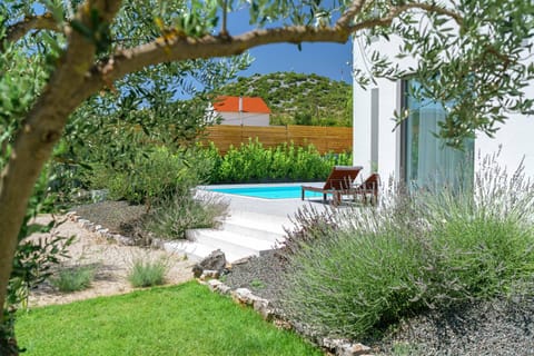 Garden, Garden view, Pool view, Swimming pool, sunbed
