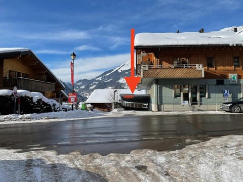 Magnifique appartement aux Diablerets avec vue imprenable Apartment in Canton of Vaud