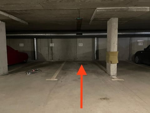 Magnifique appartement aux Diablerets avec vue imprenable Apartment in Canton of Vaud