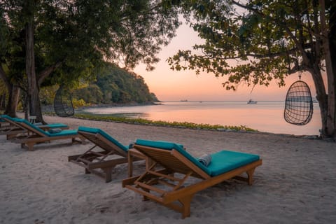 View (from property/room), Beach, sunbed