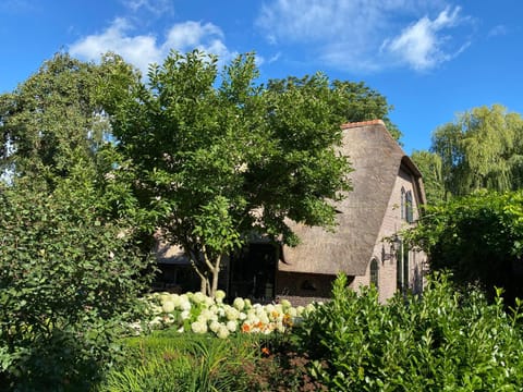 Property building, Spring, Day, Garden, Garden view