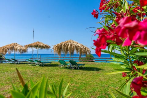 Baywatch Apartments on the Beach by "elite" Apartment in Zakynthos, Greece