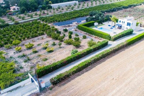 Bird's eye view, Garden view