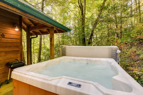 Quiet Balsam Grove Cabin Porch, Hot Tub, Dogs OK House in Gloucester