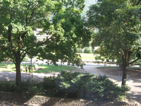 Garden view