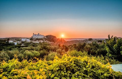 Natural landscape, Sunset