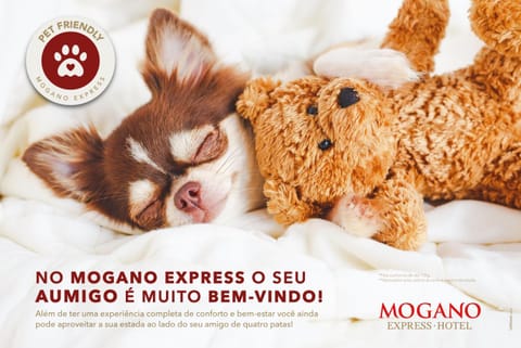 Mogano Express Hotel - PET FRIENDLY- ELETROPOSTO Hotel in Chapecó