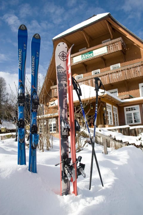 Winter, Ski School, Skiing