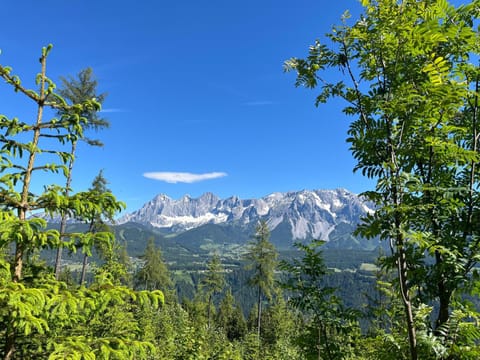 Natural landscape, Summer, Hiking