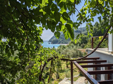 Daria's Home House in Magnesia Prefecture, Greece