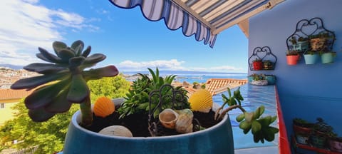 Balcony/Terrace, City view, Garden view, Landmark view, Mountain view, Sea view, Quiet street view