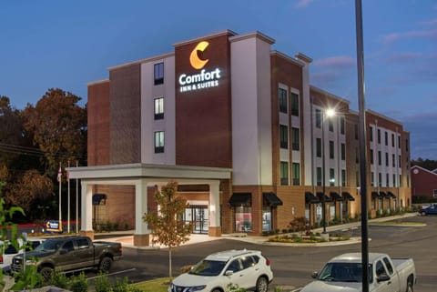 Comfort Inn & Suites Downtown near University Hotel in Northport