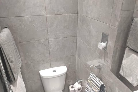Shower, Toilet, Other, Decorative detail, towels