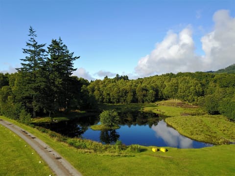 Natural landscape, Garden, Garden view