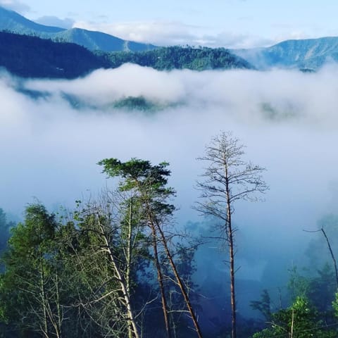 Landmark view, Mountain view