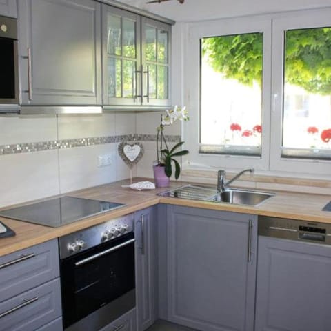 Kitchen or kitchenette, dishwasher, stove