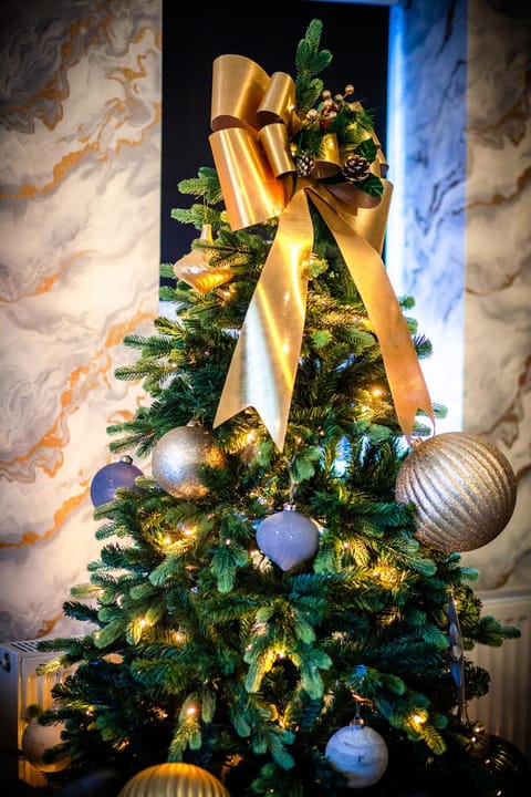 Blueberry View - Wyndale Living - Central Worcester Apartment in Worcester