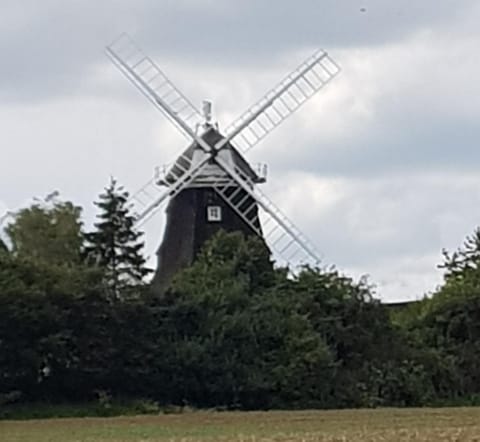 Natural landscape